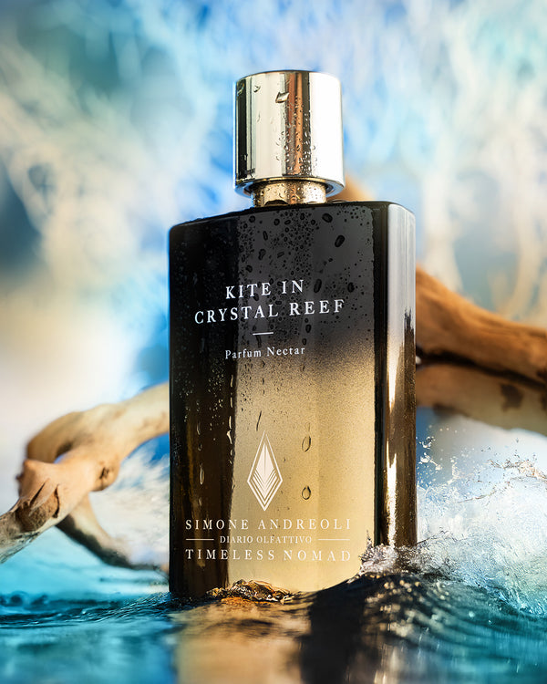 Kite in Kristal Reef